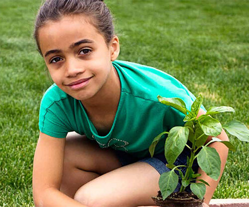 image of child planting flower