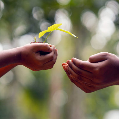 Equity & Grantmaking Impact Group Funder Meetup: Board Members' Role in Equitable Grantmaking